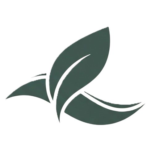 Daily Wellness Rituals